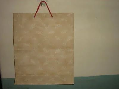 Ladies Hand Bags & Banana Fibre Bags (Eco-friendly)