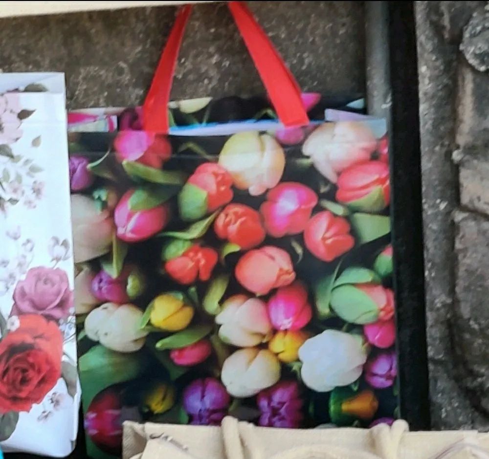 Woven Hand Bag
