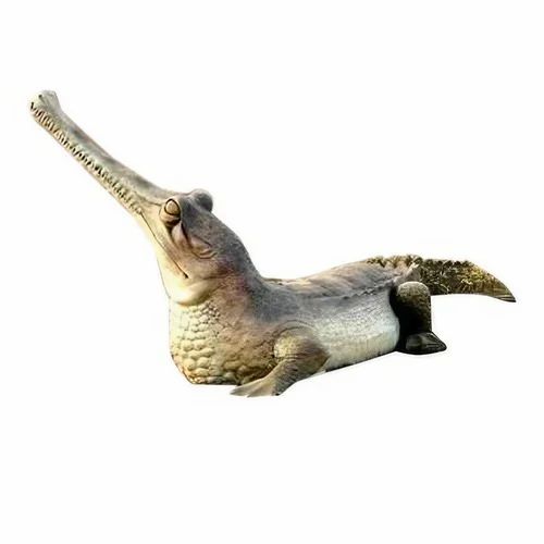 FRP Crocodile Statue