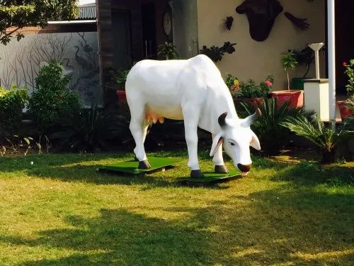 FRP Cow Statue