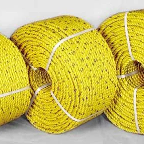 PP Ropes