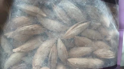Sitarbai mamra