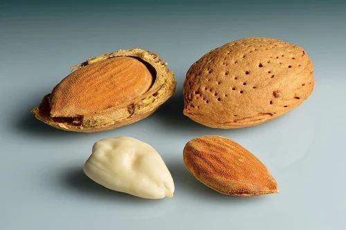 California Inshell Almonds