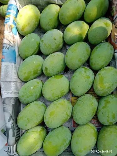 Langra Mango
