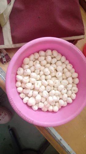 Makhana