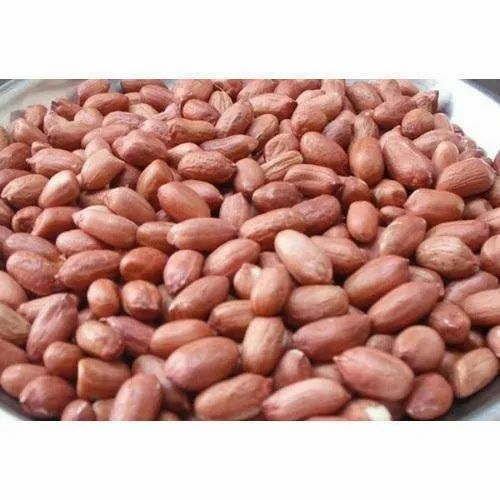 Groundnut Seed