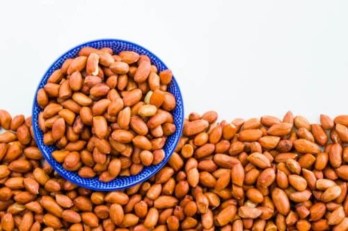 BG 1 Groundnut Seeds