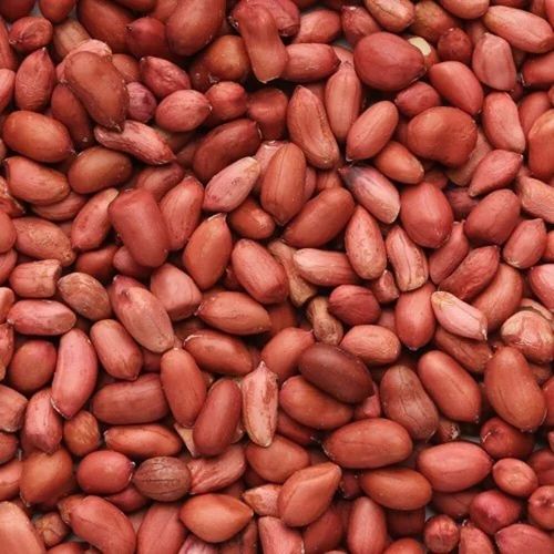 Organic Groundnut Seeds