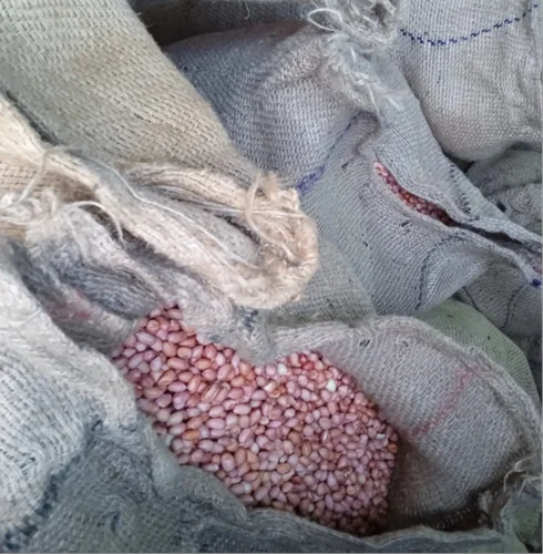 Redskin Peanuts, 60-70