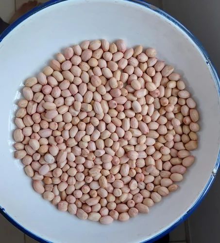 Java Groundnut Seeds