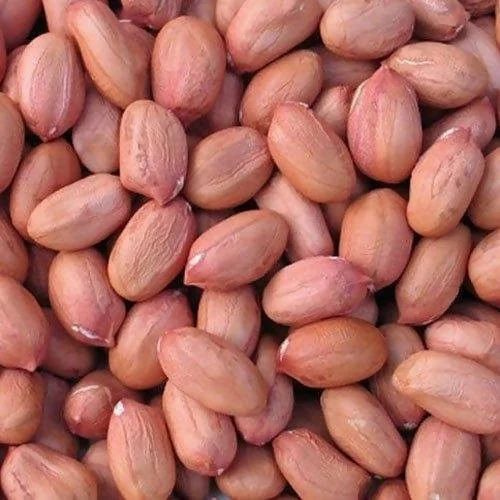 Bold Groundnut Seeds