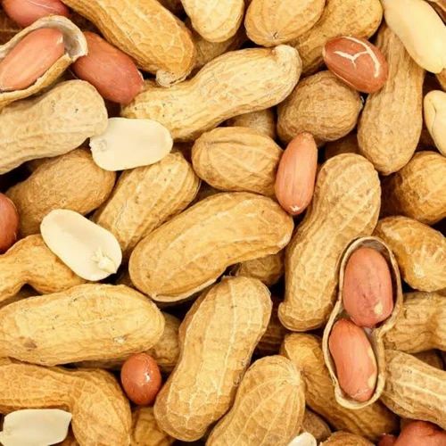 Bold Raw Groundnut Seed