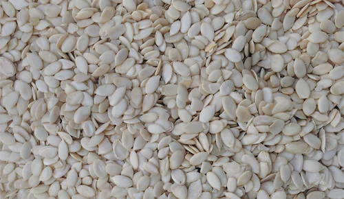 Premium Grade Double Sortex Watermelon Kernel