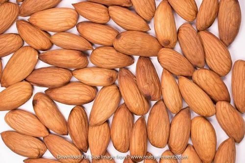 Whole Mamra Almonds