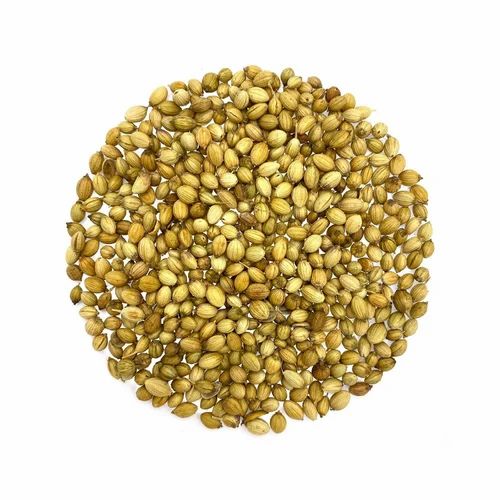 Coriander Seed Organic