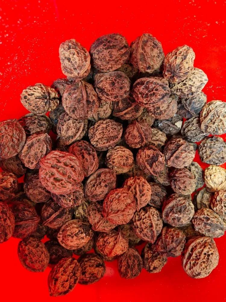 Black Walnut