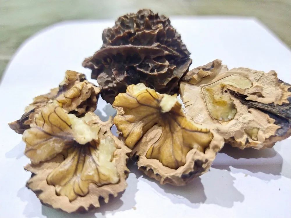 Black Walnut Dry Fruit