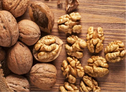 Walnut