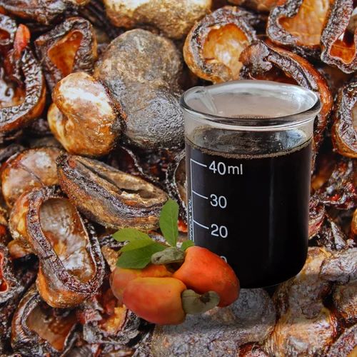 CNSL Cashew Nut Shell Liquid