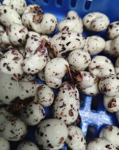 Rose Petals Chocolate Coated Cashew