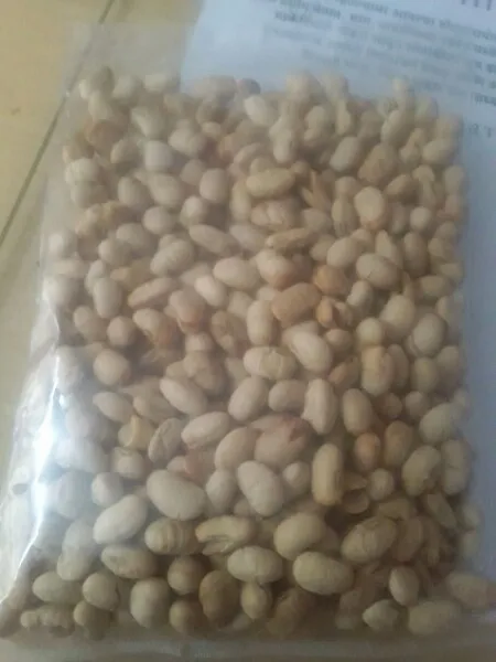 Soya Nuts