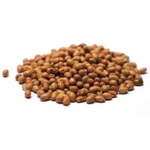 Soya Nuts