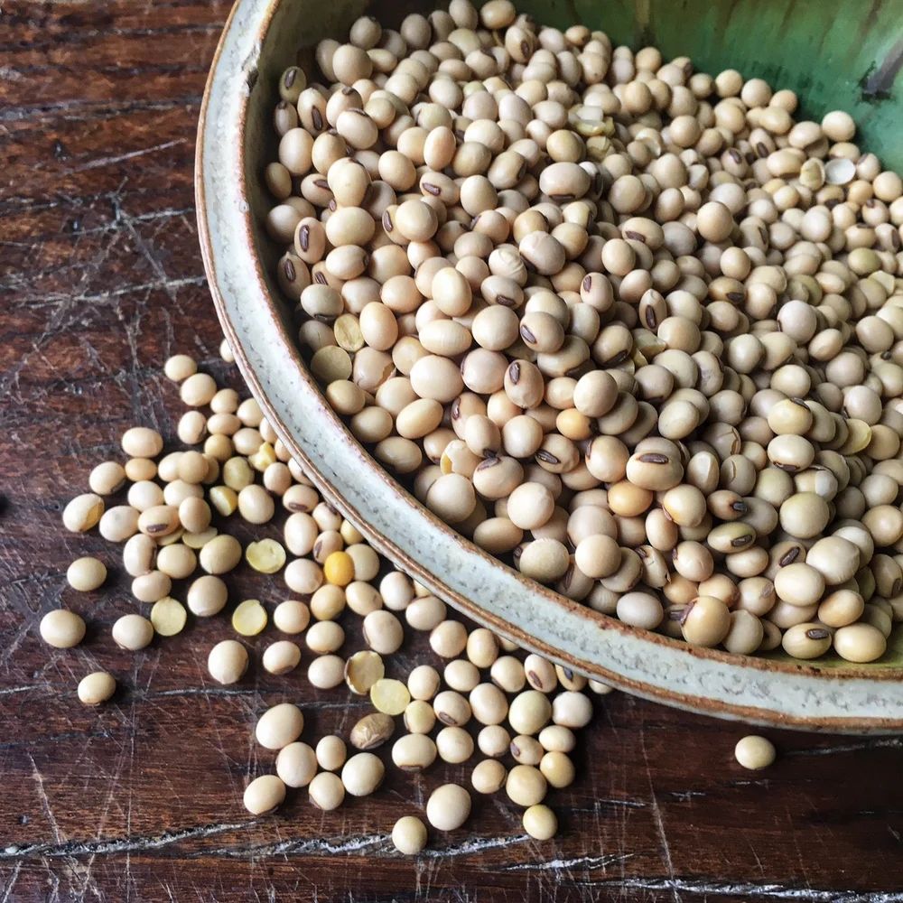Soybean Nut