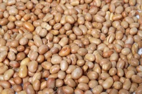 Soyabean Nuts
