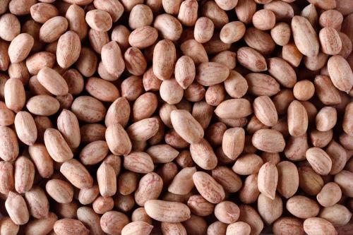 Premium TJ Java Groundnuts, 25 Kg