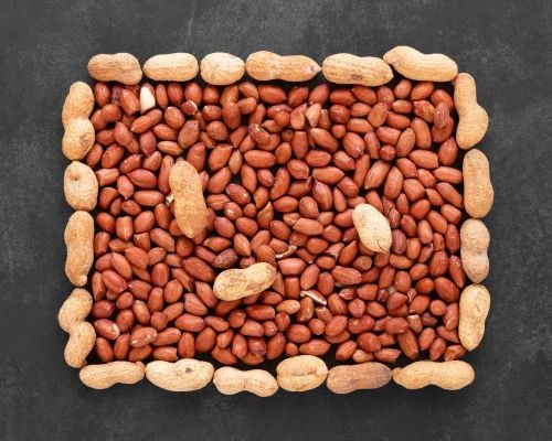 Blanched Kernel Groundnut Seed, 25 Kg, Bold