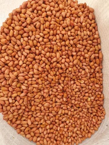 Blanched Whole Peanut, Packaging Size: 40 Kg