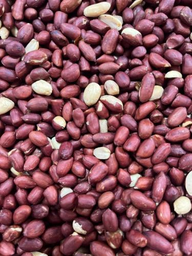 Bold Raw Red Peanut, 42