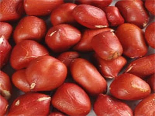 Groundnuts Red, 40-50