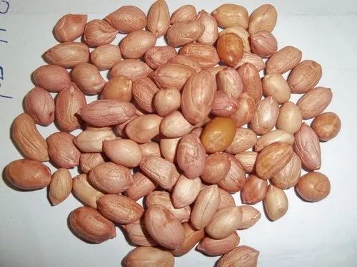 Peanut, Packaging Size: 20 Kg