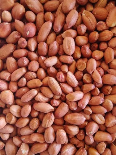 G10 Whole Red Skin Peanut