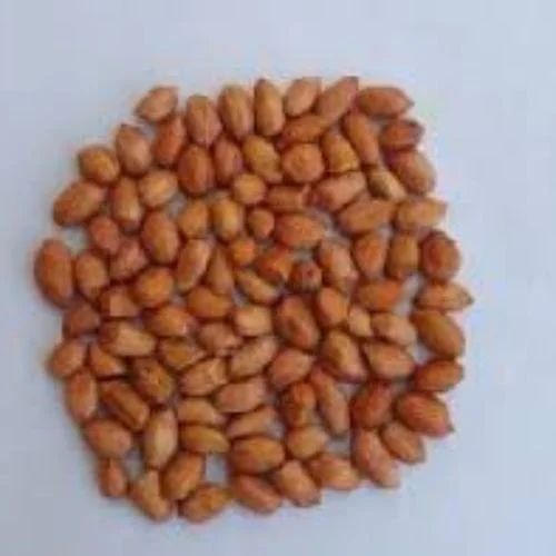 Type: Whole With Skin Raw Nallakachi seeds, Packaging Size: 50 Kg