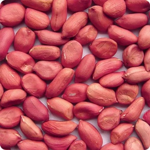 Roasted Red Skin Peanut Kernel