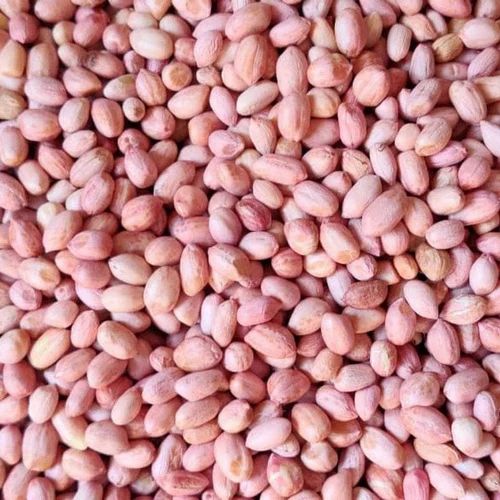 Red Peanut Kernel