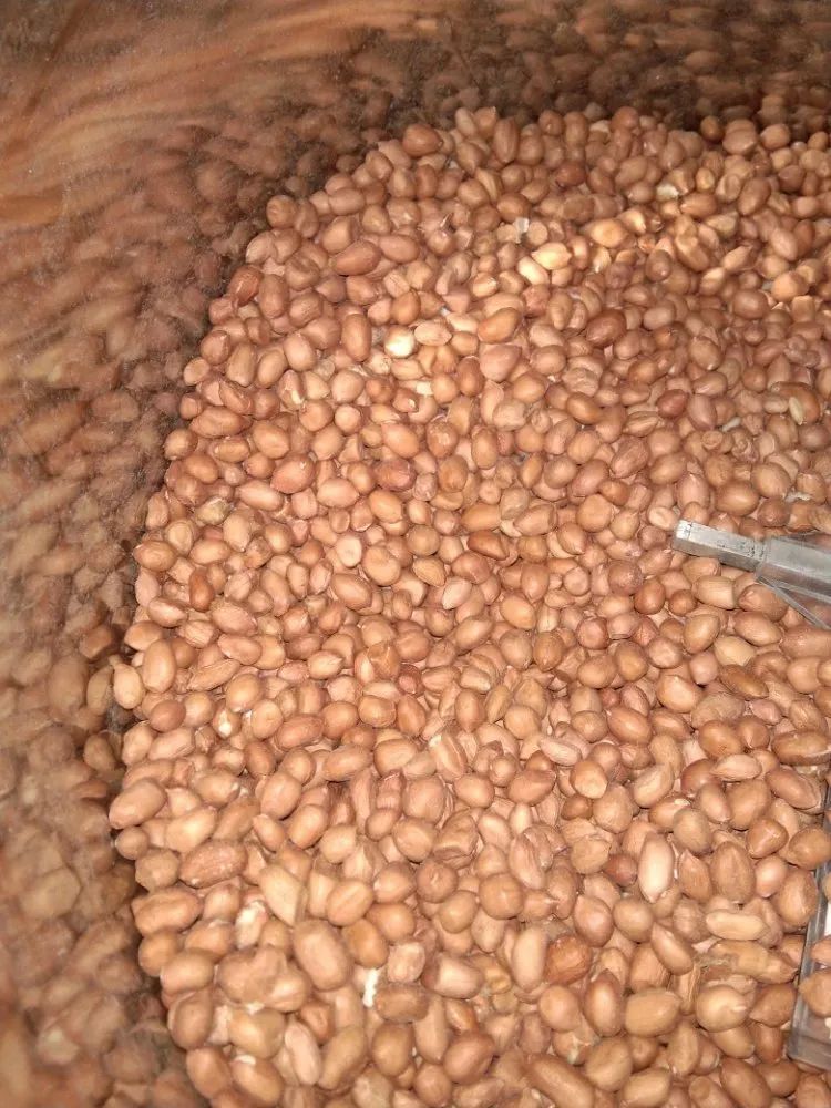 Pea Nut