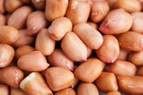 Red Peanut Kernel