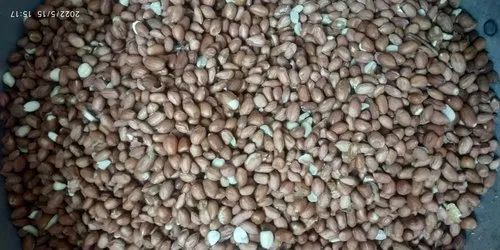 Red Peanut Kernel, Packaging Size: 50