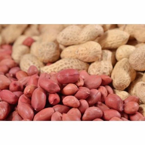 Red Skin Groundnut Kernel / Bold / Java Peanuts, Packaging Size: 5 kg To 50 kg