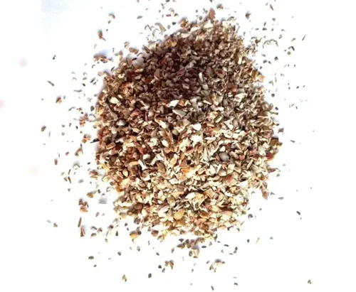 Dried Areca White Betel Nuts - Supari Powder