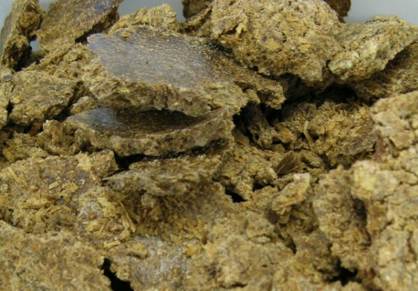 Cashew Nut Meal