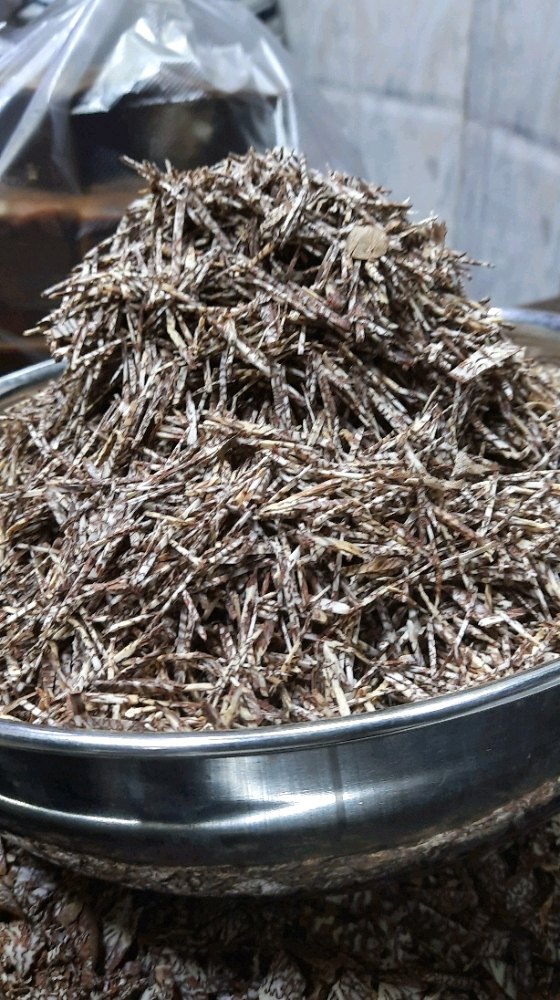 Supari Devadar