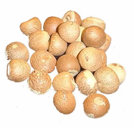 Beatlenuts- Puja Supari