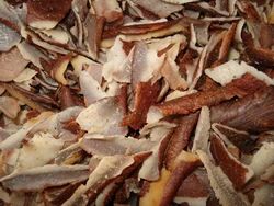Coconut Peelings(Testa)