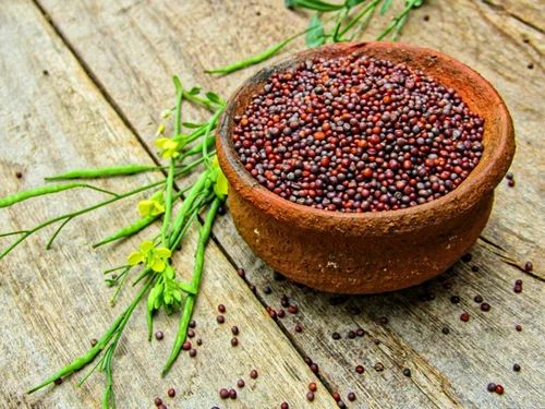 Organic Mustard Seed