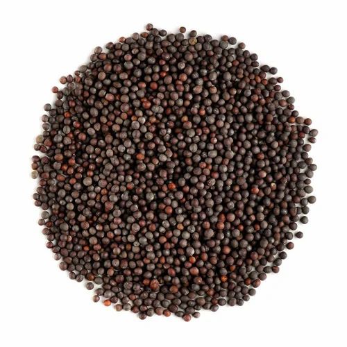 Organic Whole Mustard