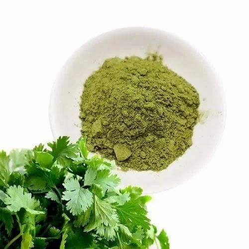Dehydrated Coriander Leaves Powder, Packaging Type: PP Bag, Packaging Size: 1 Kg